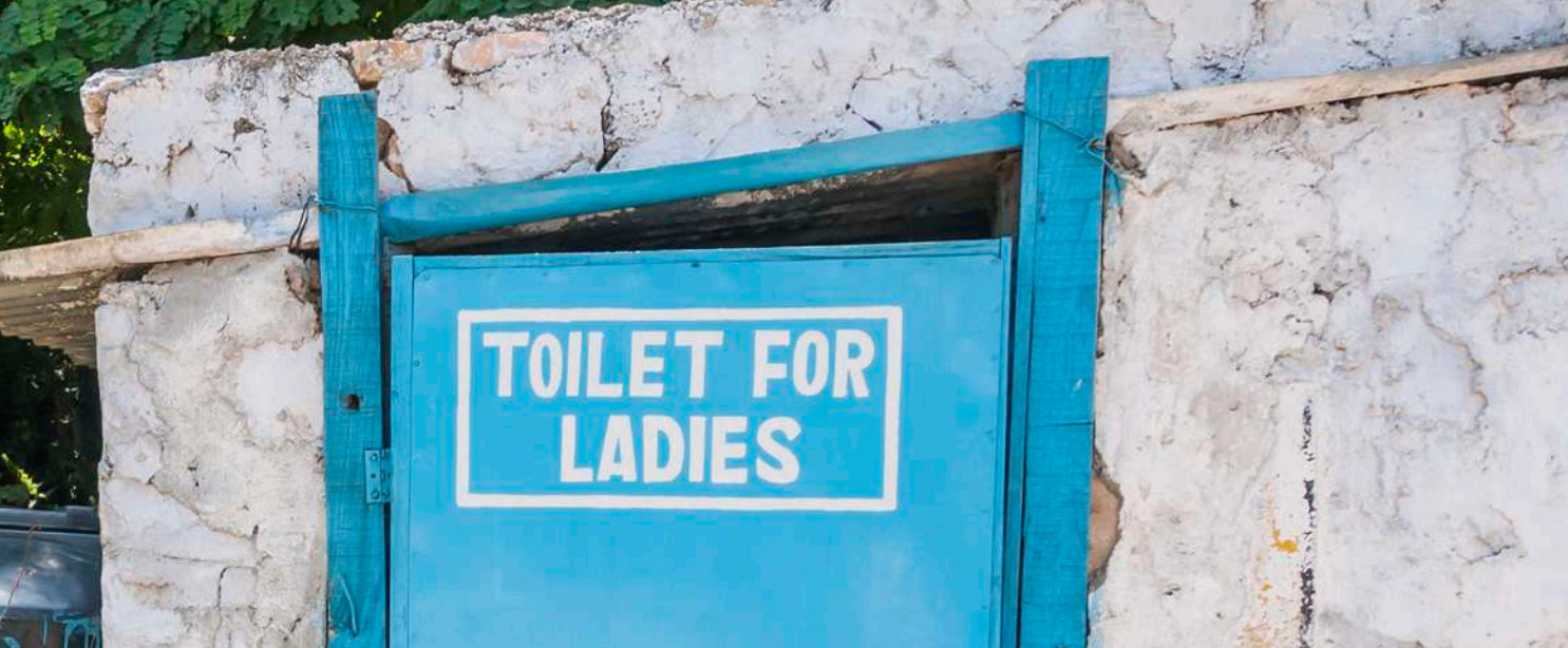 toilet-for-ladies-e1587479140383