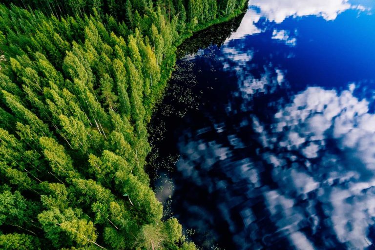 Aerial view of Swedish forest and lake.