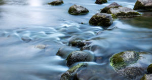 shutterstock_252608923