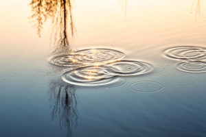 Circle ripples on a clam water surface reflecting the colours of a sunset