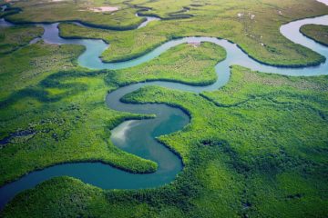 river wining on a large green wet land clearing
