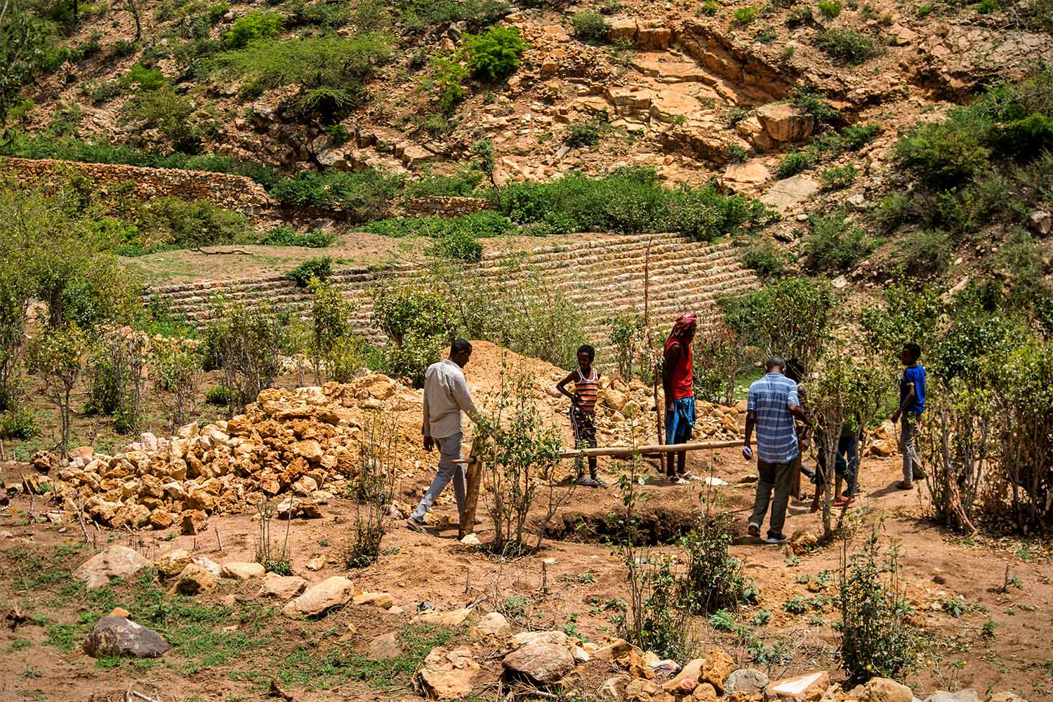 Resilient landscape restoration at Adada Kebele, Ethiopia