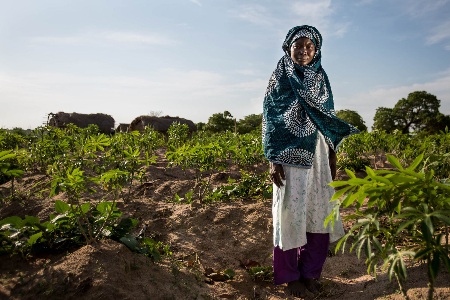 Farmer tending to rainfed crops in a Zambian small-holding.