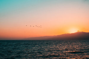 Birds flying across a sunrise, with mountains in the background.