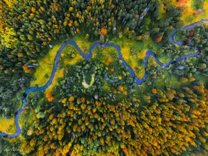 Aerial,View,Of,The,Autumn,Forest,And,Small,River