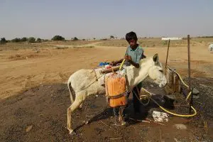 HAJJAH , YEMEN – March 20, 2021: Children fetch water by donkeys from an agricultural well, amid a