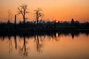 trees during a beautiful red sunset. Slovakia (Photo: portvis)