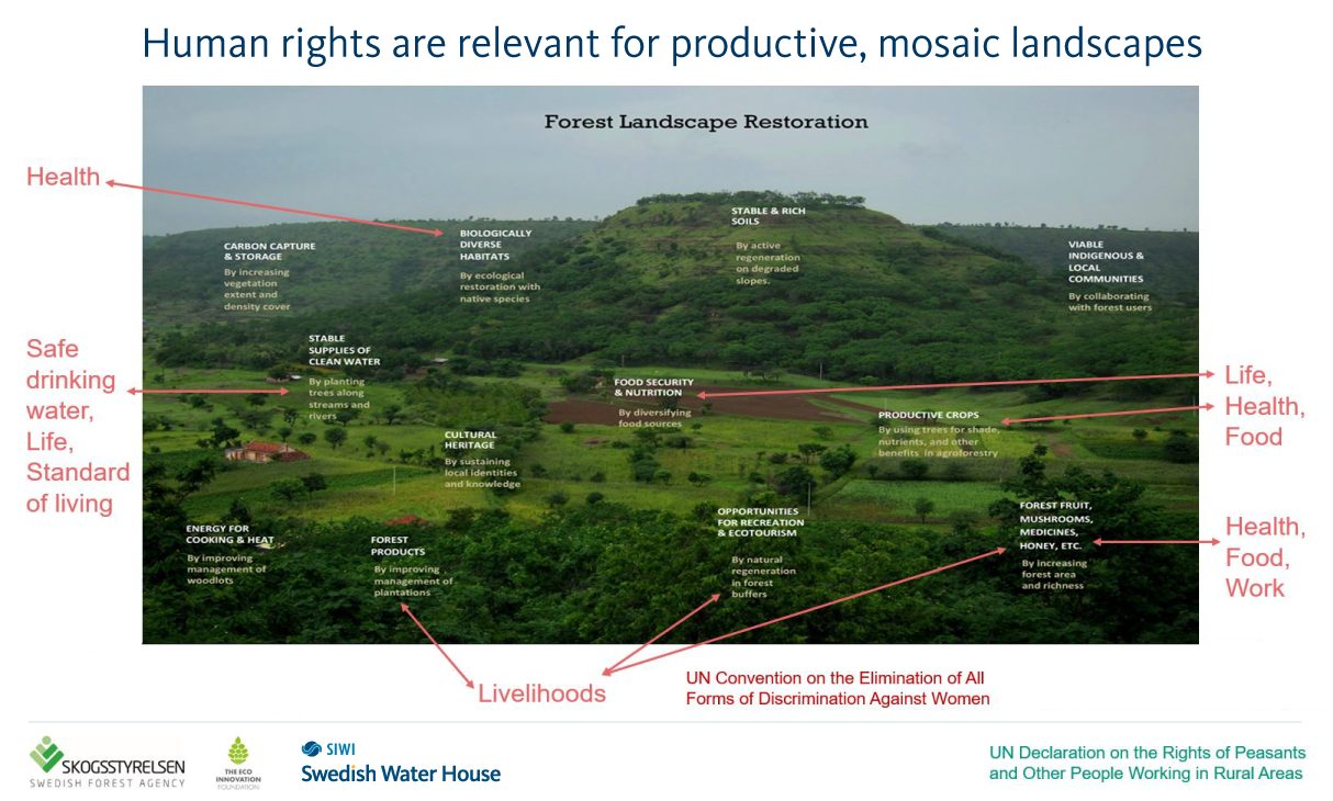 Human rights are relevant for productive, mosaic landscapes
