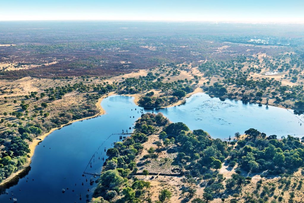 Okavango delta (Vadim Petrakov / Shutterstock)