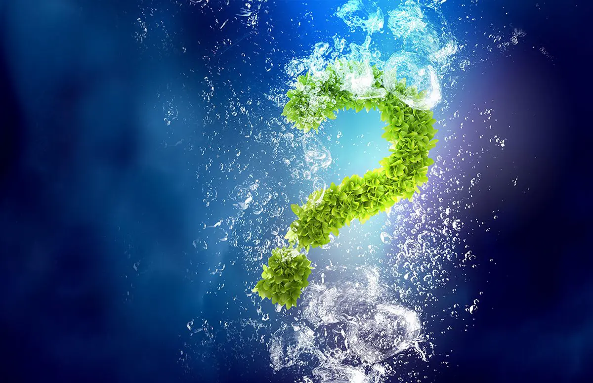 Question mark made of green leaves, floating in dark blue water with bubbles all around