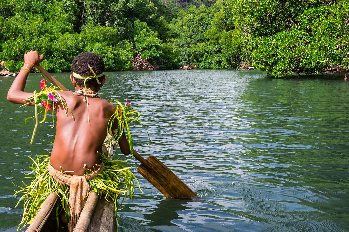 Indian gambler from Yang with a palate in a traditional canoe, green natural rainforest with mangrove background, Melanesia, Papua New Guinea, Tufi