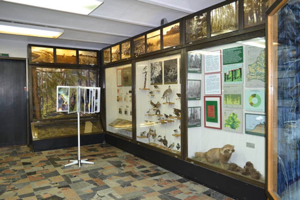 An exhibition on water resources and natural systems at the National Museum of Nature and Ecology in Belarus