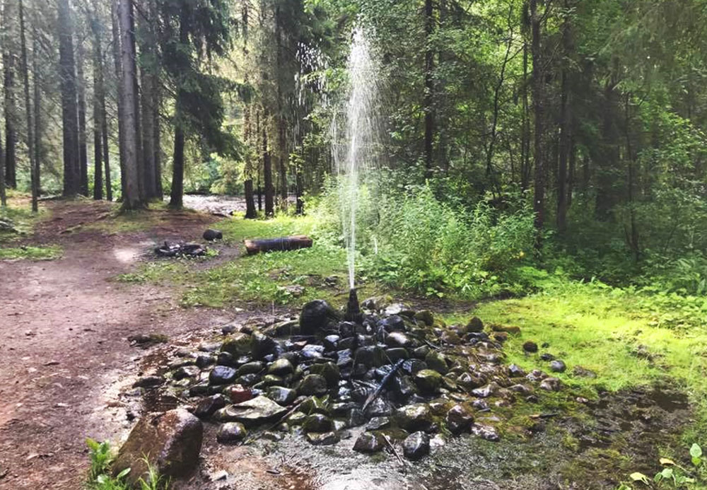 Artesian well in the forest