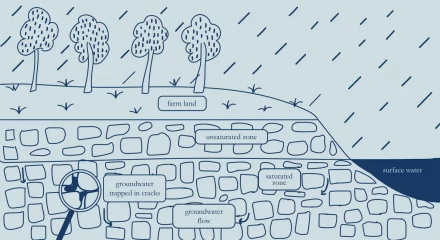 Hand drawn style illustration representing a vertical cut of ground: trees and grass at the top labe