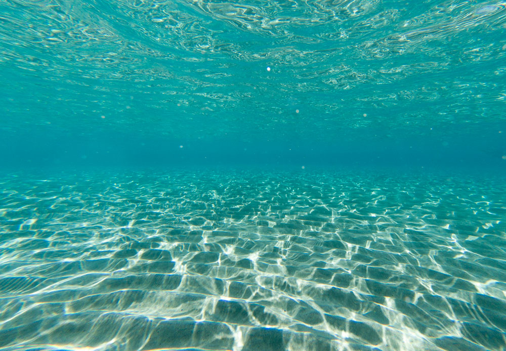 Below srface view of a clam, turquoise body of water, the sunrays reflecting on the on sandy bottom