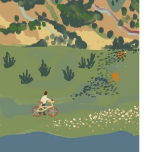 Illustration of person riding a bike through the field