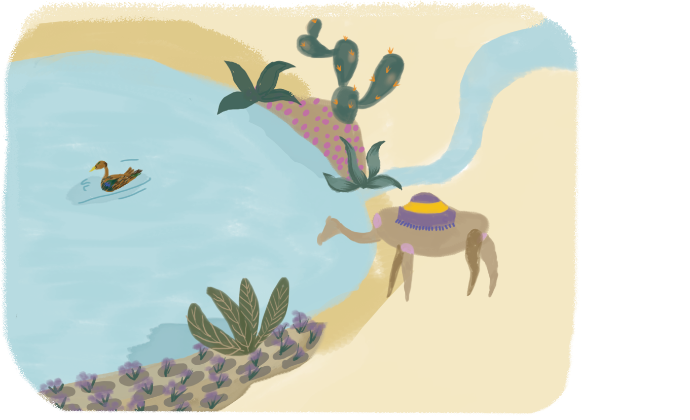 Illustration of the watershed with a camel drinking and a duck swimming