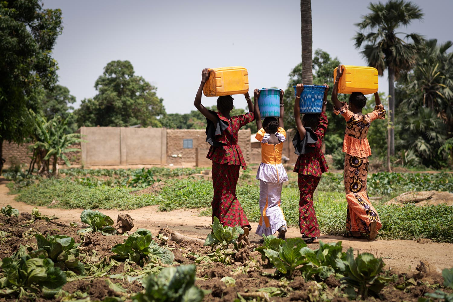 Daily-water-collection-India