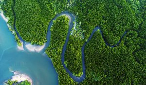 BIG-projects-Source-to-Sea