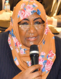 Ambassador Nadia Eisa Gefoun, member of the Women In Water Diplomacy Network in the Nile