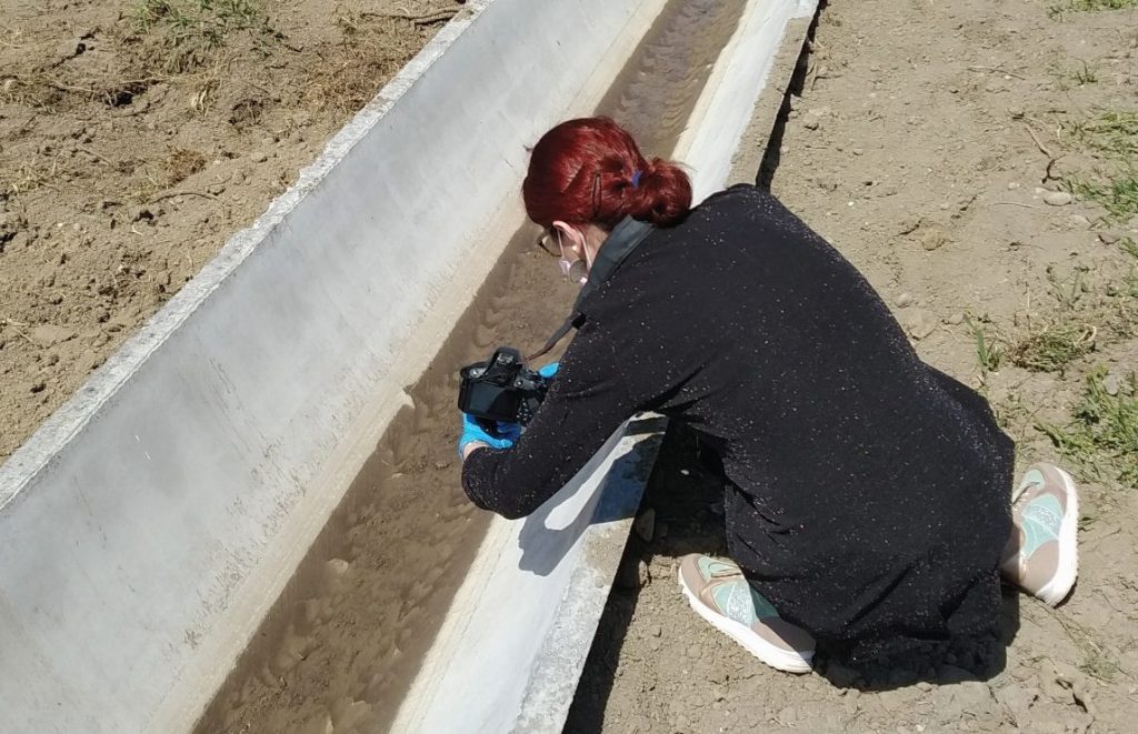 Woman collecting water from open pipe