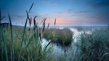 Wind turbines in the Gaomei Wetlands, which spans over 300 hectares close to Taichung City, Taiwan. 