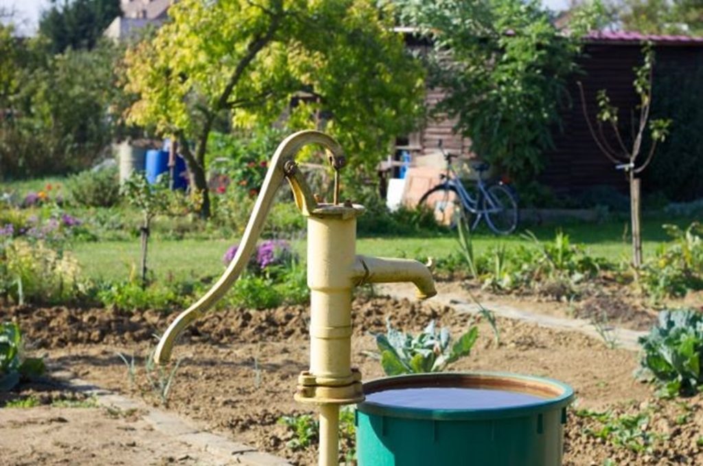 Hand water pump in garden, with a green bucket full of water underneath
