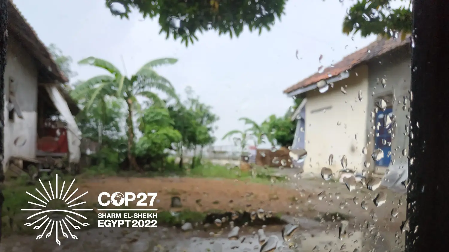 Rain dew stuck to the window