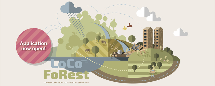 LoCoForest - illustration of forest / water nexus