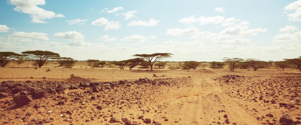 Landscape in Africa with a blue sky with small clouds scattered over dryland and trees spotted around towards the end