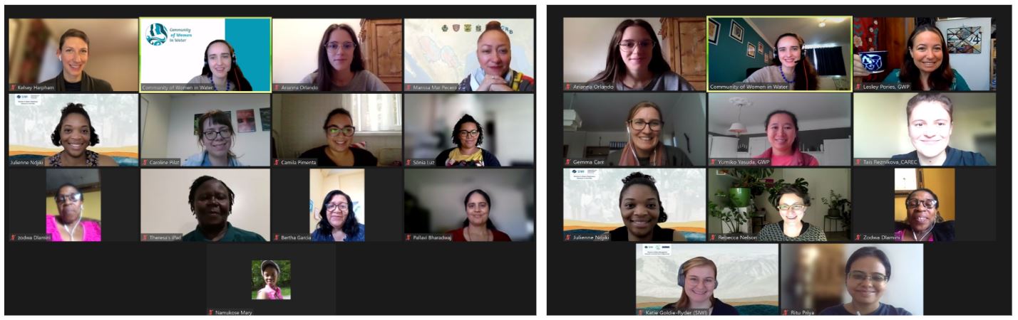 Women in Water Diplomacy network - screenshot from participants on ZOOM at the Learn and Share workshop