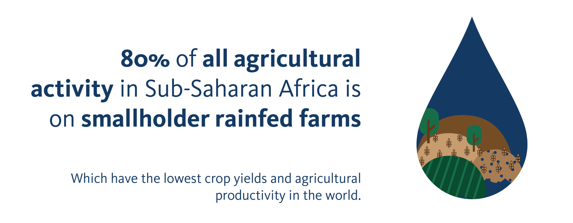 80% of all agricultural activity in Sub-Saharan Africa is on smallholder rainfed farms