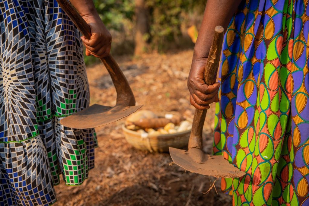 Close-up of the hands of two African women holding two hoes with a basket with the harvest of the fields, women and work in the fields concept.