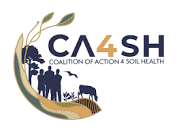 CA4SH+Logo-02
