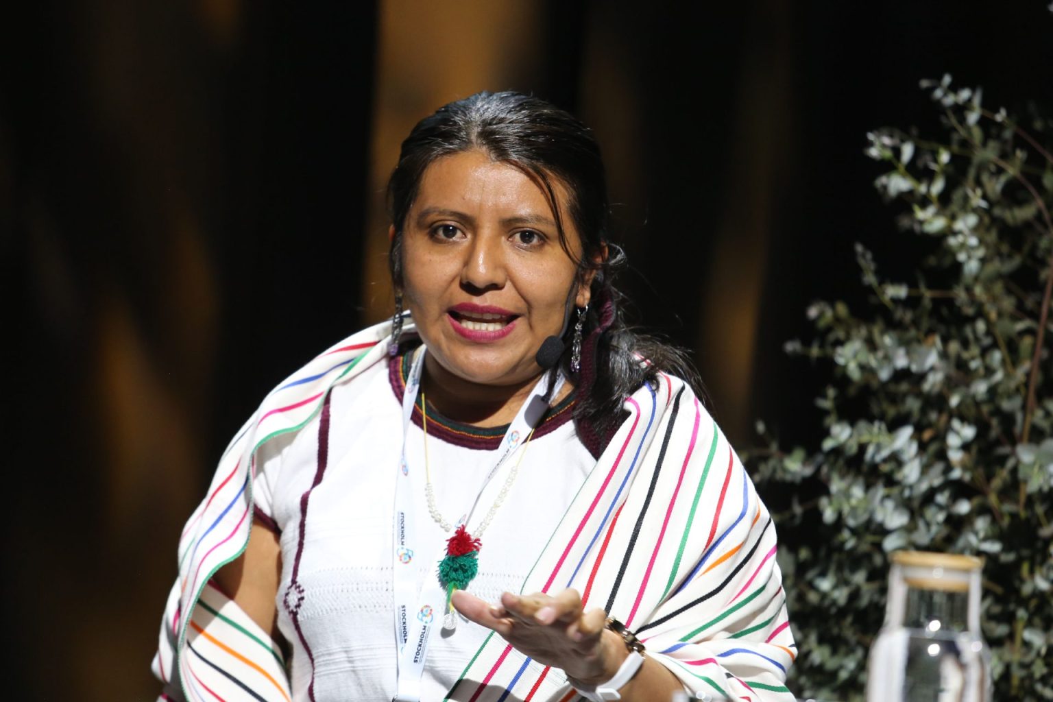 Tania Eulalia Martínez Cruz, Ëyuujk woman, Global Hub on Indigenous Peoples’ Food Systems - Indigenous Peoples' food and knowledge systems - Stockhol+50 Side Event - 3 June 2022