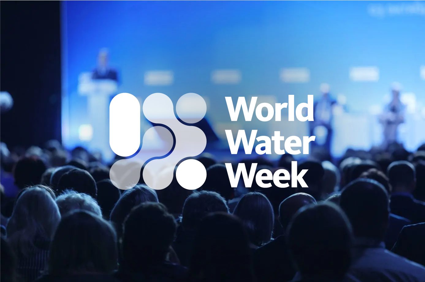 SIWI at World Water Week 2024 SIWI Leading expert in water governance