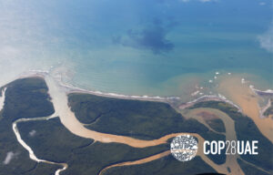 Aerial view of a river flowing into the ocean
