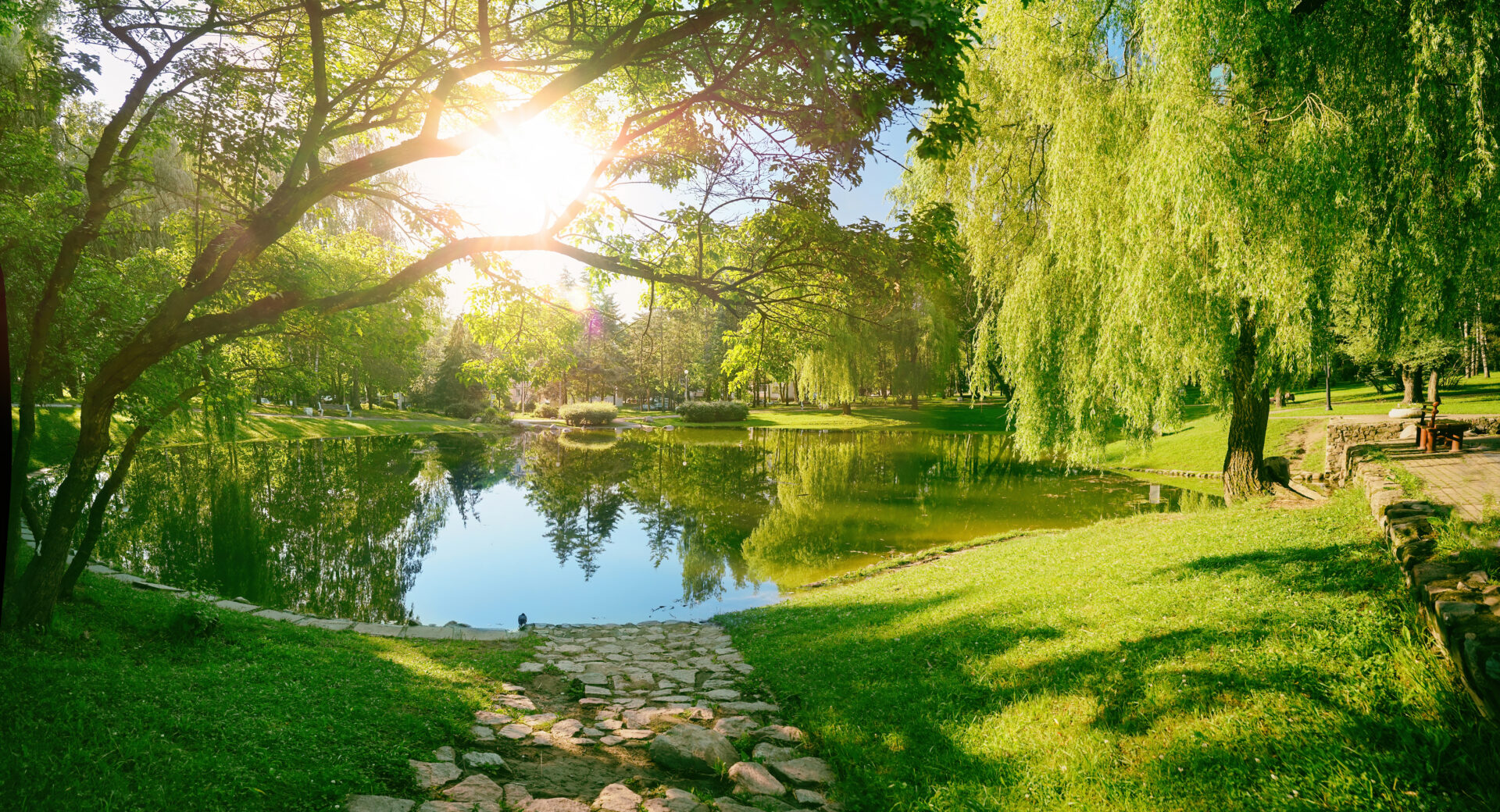 Pond in a city park with greens and sun shining through trees