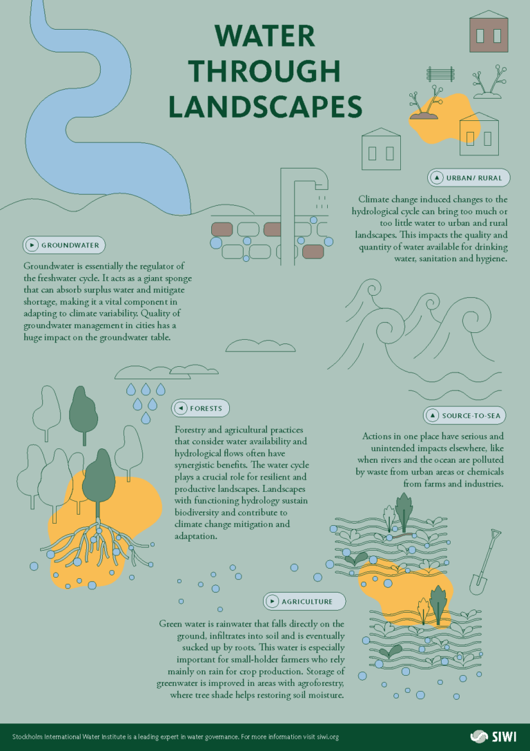 Rainwater Vs Groundwater: Optimize Your Farm’s Yield