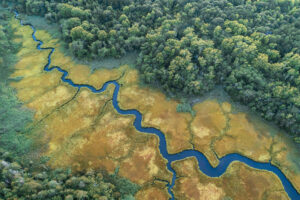 Meandering river areal view surrounded by lush green forest