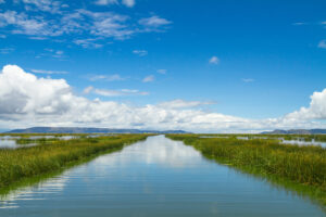 Landscape of a river joining a lake with grasses on the side. Blue sky with light white clouds reflecting on the surface.