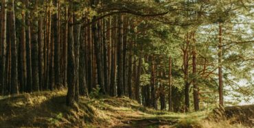 Irina Iriser on Unsplash