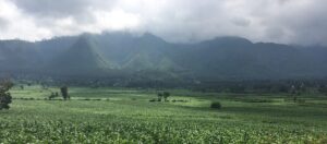 Cloud formation over forested hills in the Rift Valley, Wondo Genet, Ethiopia