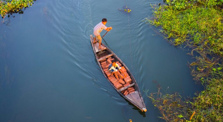 pexels-gokul-barman-177743-636303