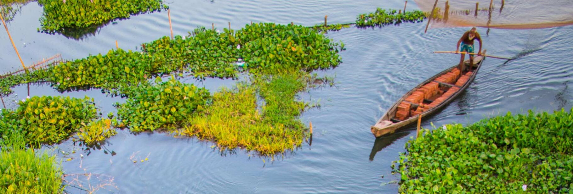 web-crop_pexels-gokul-barman-177743-636303