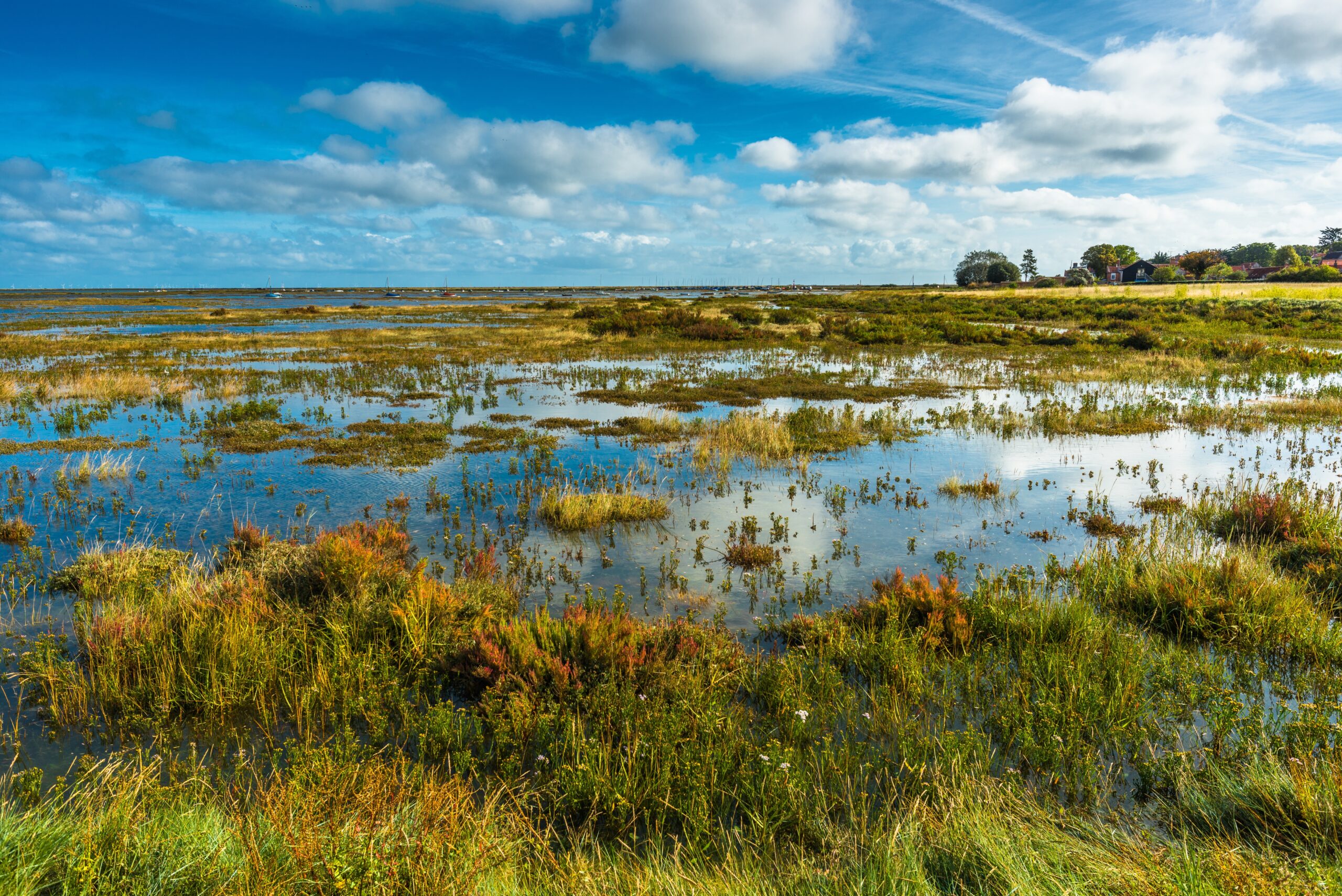 Morston,Salt,Marshes,Seen,From,The,Blakeney,To,Morston,Coastal