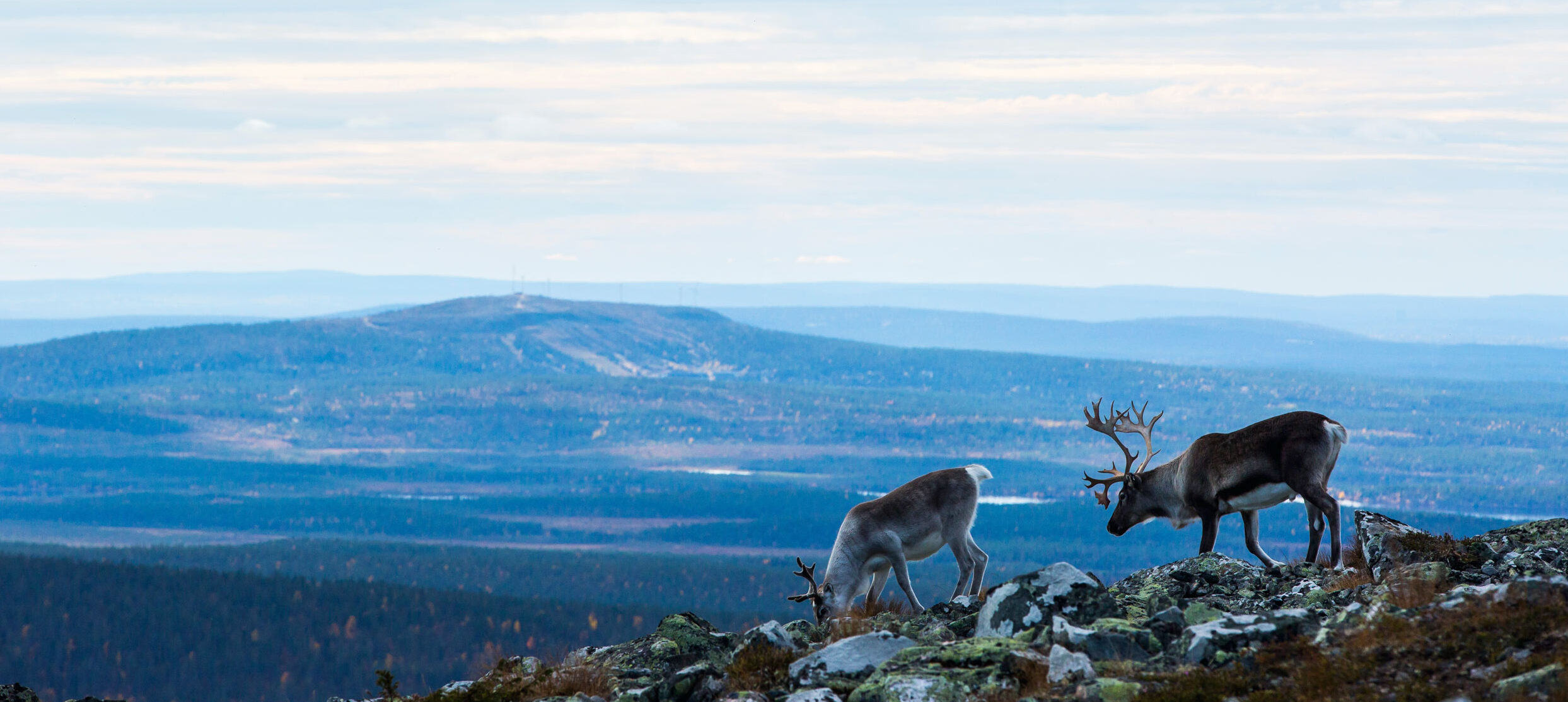 shutterstock_2179328061_lo-res